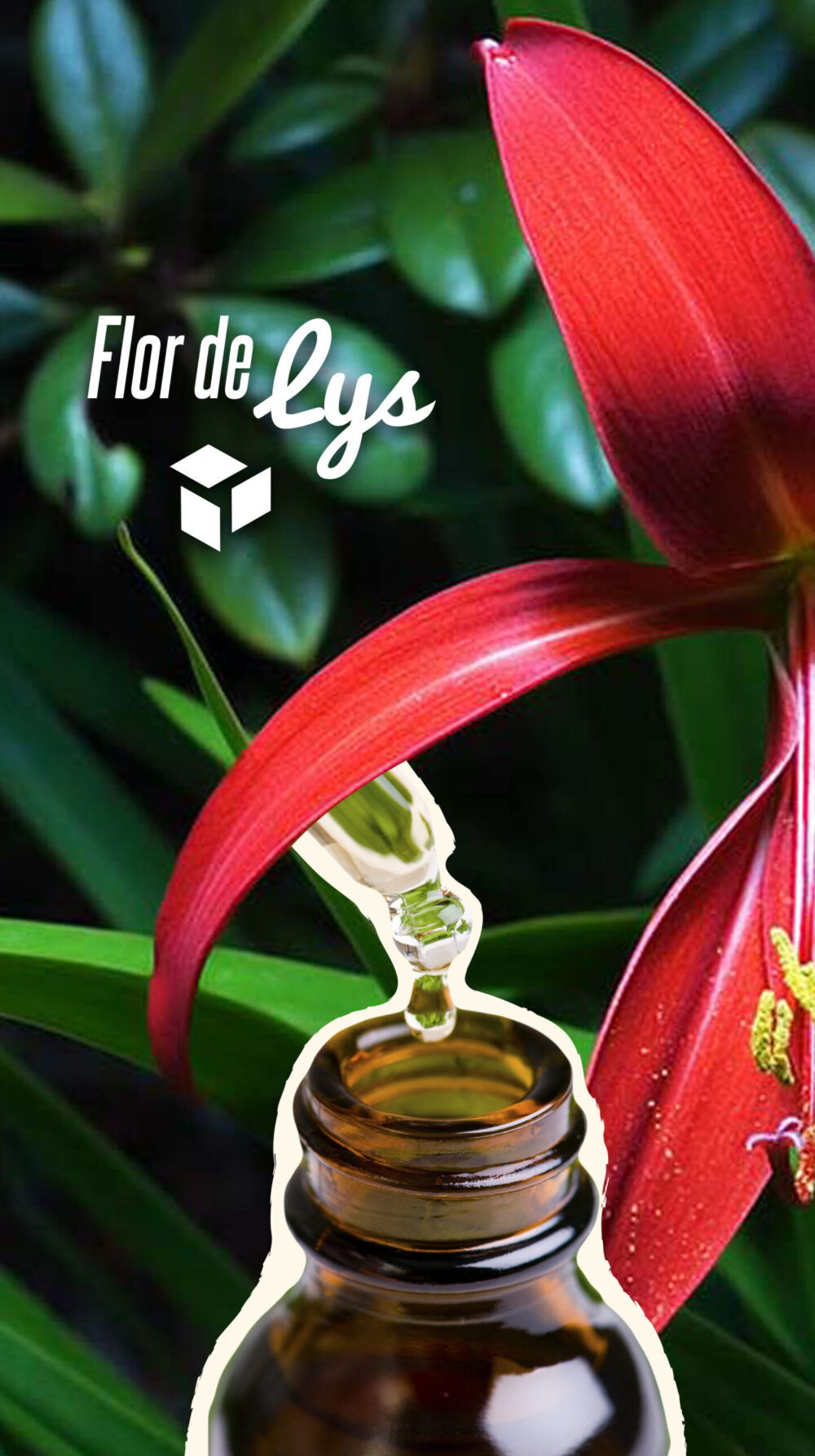 Flor de Lys Flor de Lys